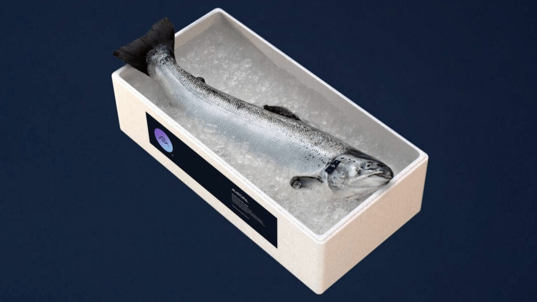 Lerøy's Aurora salmon, fed on algal oil, is now available online in the US. Photo: Lerøy.