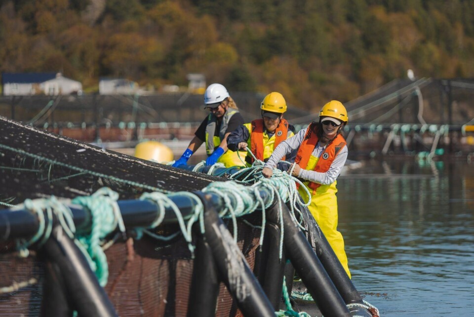 Photo: Atlantic Canada Fish Farmers Association.