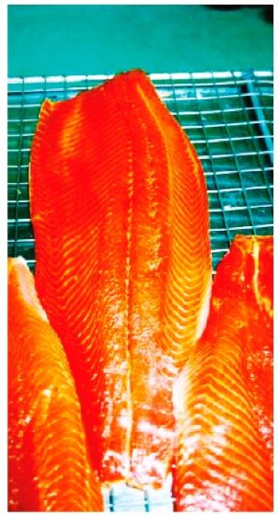 Salmon could contain Listeria monocytogenes