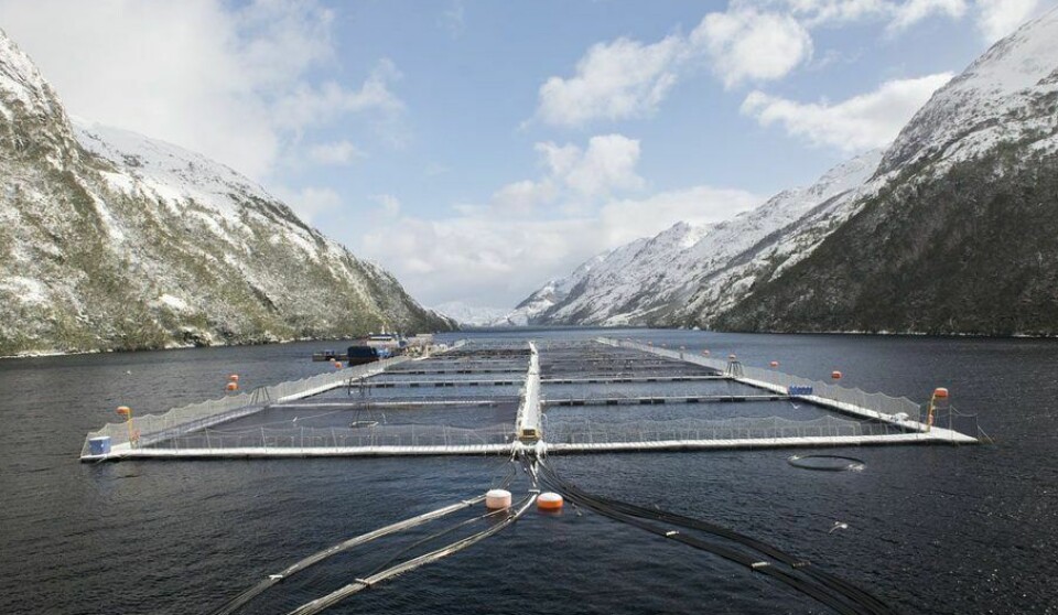 A Nova Austral salmon farm in sourthern Chile. The company, which has faced sanctions from authorities, is more than half a billion dollars in debt.