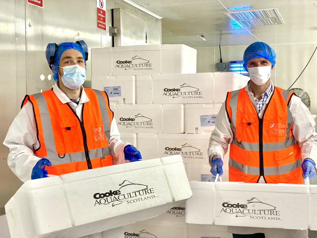 Liam McArthur (right) with Orkney packing station manager Michael Lewington at the processing plant. Photo: Cooke Liam McArthur (right) with Orkney packing station manager Michael Lewington at the processing plant. Photo: Cooke