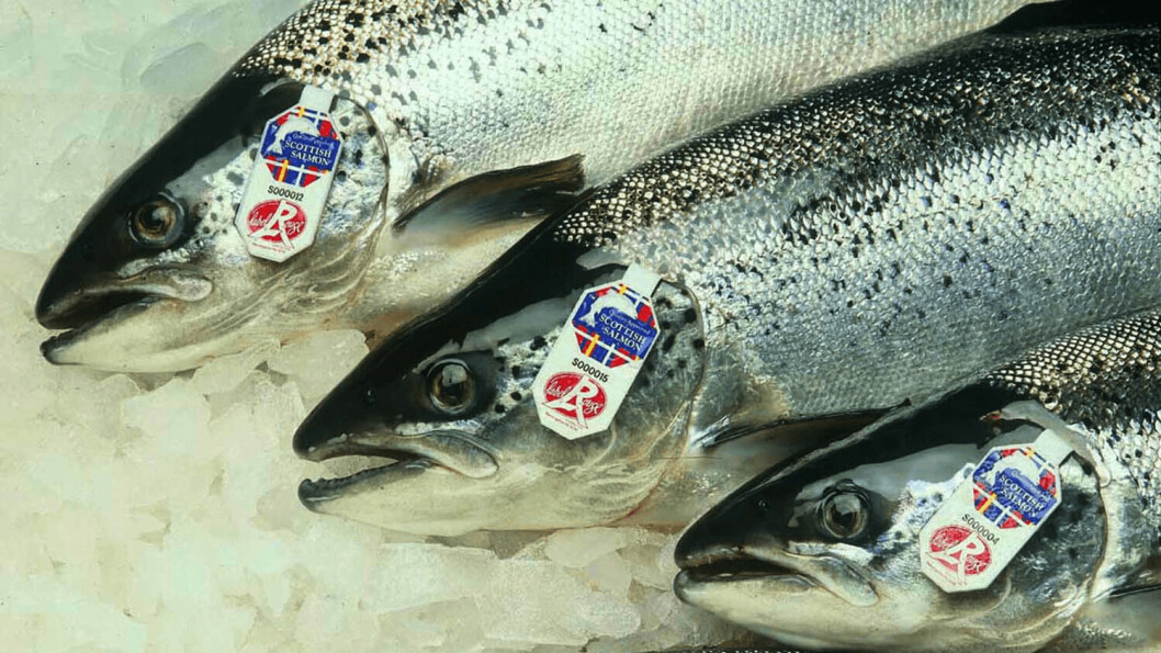 The value to Scottish salmon exported to the EU fell by £2.7m year-on-year in February, says the FDF.