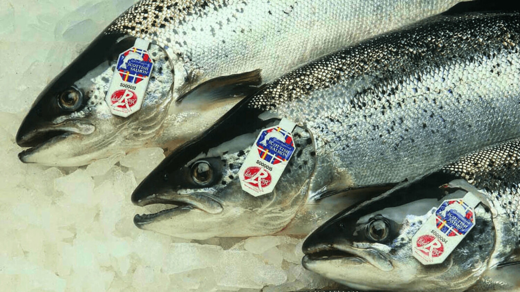 The value to Scottish salmon exported to the EU fell by £2.7m year-on-year in February, says the FDF. The value to Scottish salmon exported to the EU fell by £2.7m year-on-year in February, says the FDF.