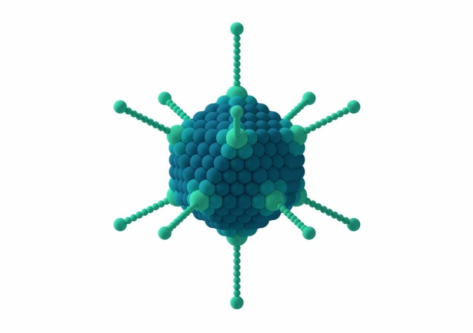 The mortality rate decreased significantly compared to the control group from 76% to 40%. Virus image: Thomas Splettstoesser.
