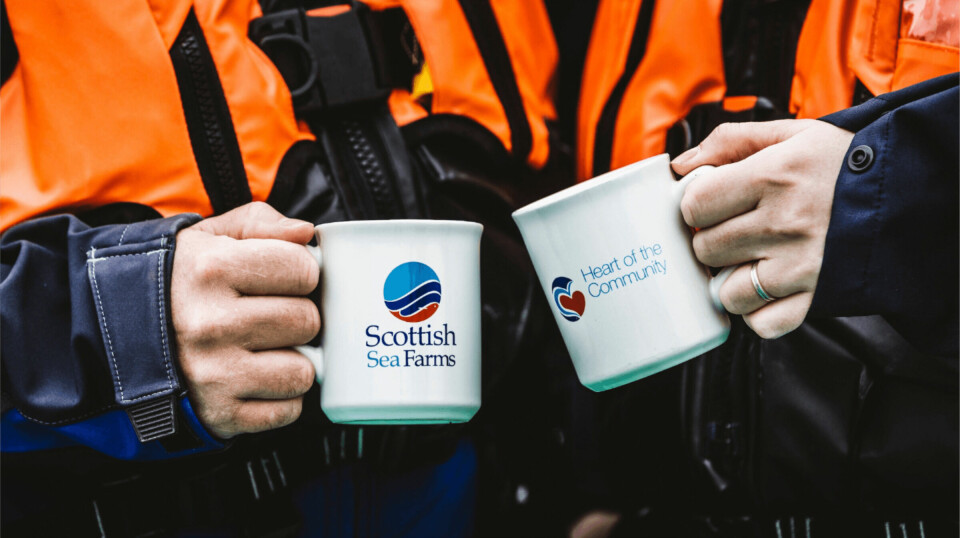 Scottish Sea Farms' owners might benefit from a comforting cuppa after a second difficult quarter, but can also see better times ahead next year, when SSF is once again guiding for a harvest of 37,000 gwt.