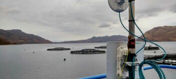 Salmon farmer nets superfast broadband for community
