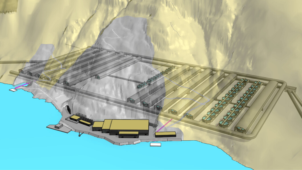 World Heritage Salmon plans to produce 100,000 tonnes of salmon a year in a disused olivine mine in Norway. Illustration: WHS. World Heritage Salmon plans to produce 100,000 tonnes of salmon a year in a disused olivine mine in Norway. Illustration: WHS.