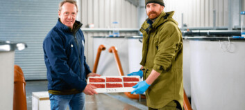 Ova to you, Andrew… salmon farmer supplies 300,000 eggs to re-stock fishing river