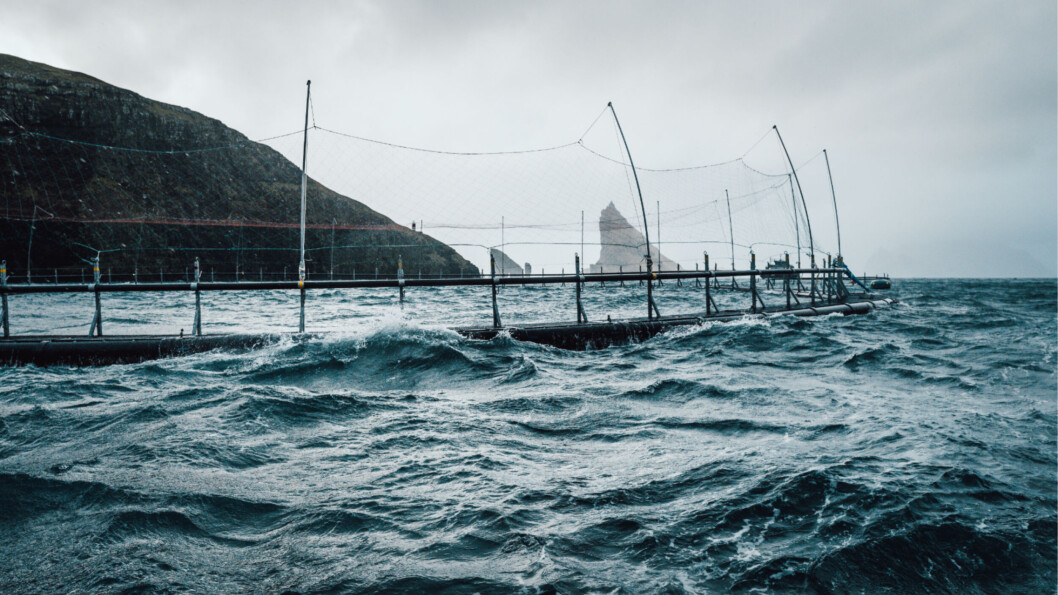 A HiddenFjord net pen in the Faroe Islands. Photo: HiddenFjord. A HiddenFjord net pen in the Faroe Islands. Photo: HiddenFjord.