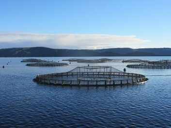 Tassal has been under pressure over its Macquarie Harbour operations. Tassal has been under pressure over its Macquarie Harbour operations.