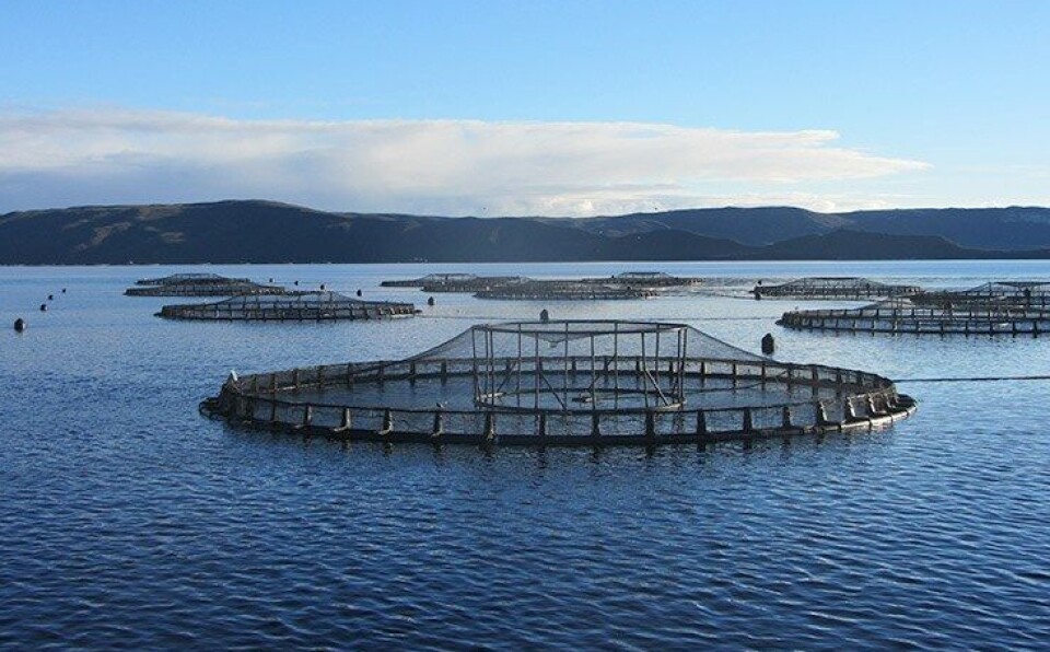 A salmon farm in Macquarie Harbour.