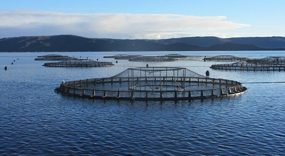 Tasmanian MPs defend continued salmon farming in Macquarie Harbour