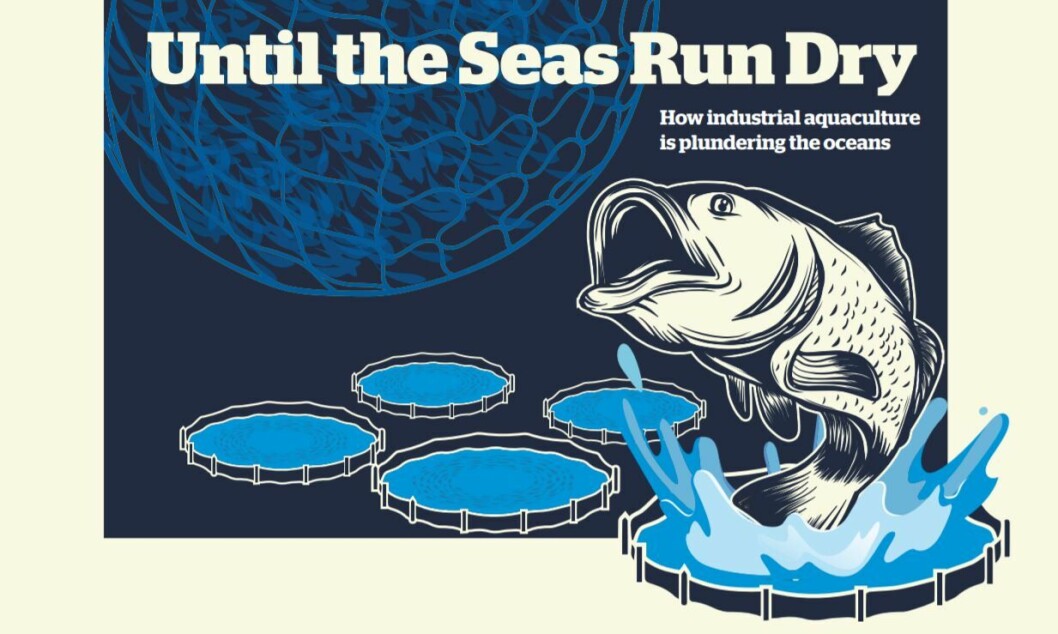 The Changing Markets Foundation has already criticised the aquaculture and feed industries in a report published in April. The Changing Markets Foundation has already criticised the aquaculture and feed industries in a report published in April.