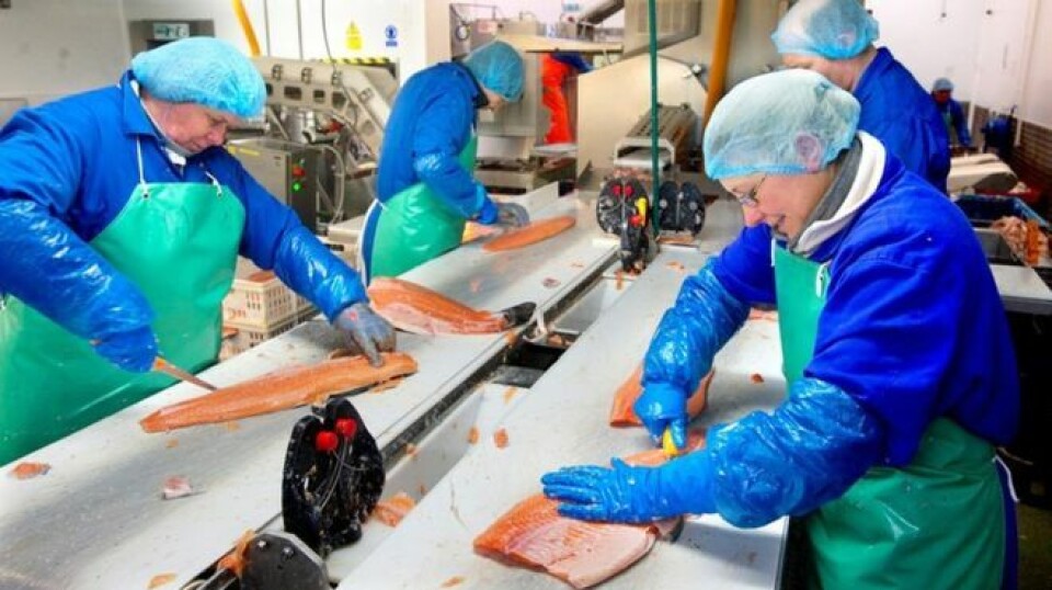 File photo of workers at Aquascot, in Alness, Ross-shire, Scotland.