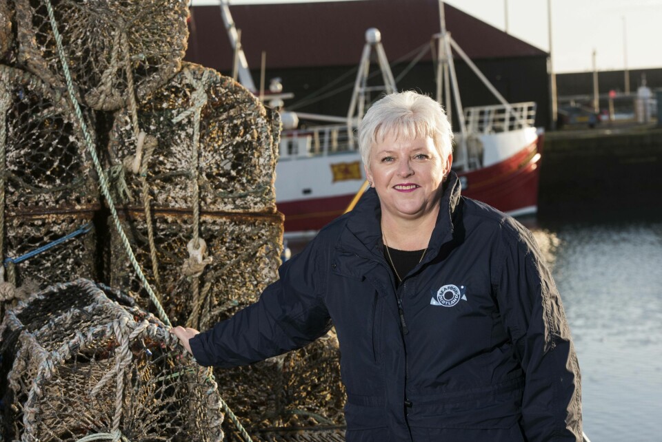 Donna Fordyce, chief executive of Seafood Scotland, has urged the UK government to proceed with caution over changes to the Northern Ireland protocol. Photo: Seafood Scotland