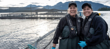 Salmon farmers: give us certainty and we’ll give BC 10,000 jobs