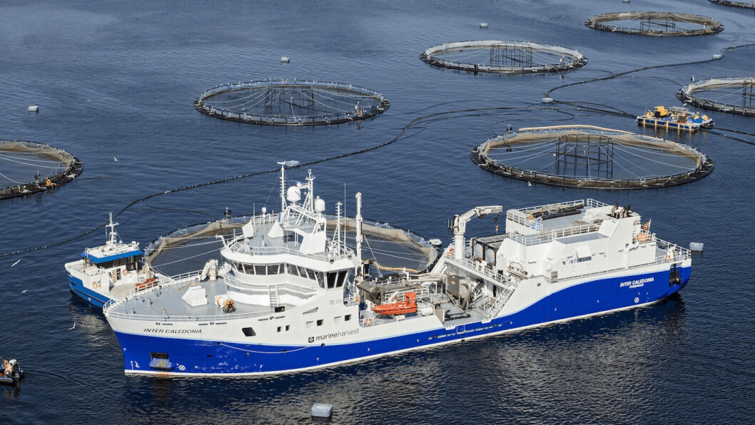 The Inter Caledonia, one of seven wellboats operated by Intership, which more than doubled its profit in 2020. Photo: Intership. The Inter Caledonia, one of seven wellboats operated by Intership, which more than doubled its profit in 2020. Photo: Intership.