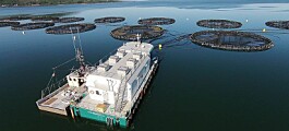 Wheels finally start to turn for Nova Scotia aquaculture
