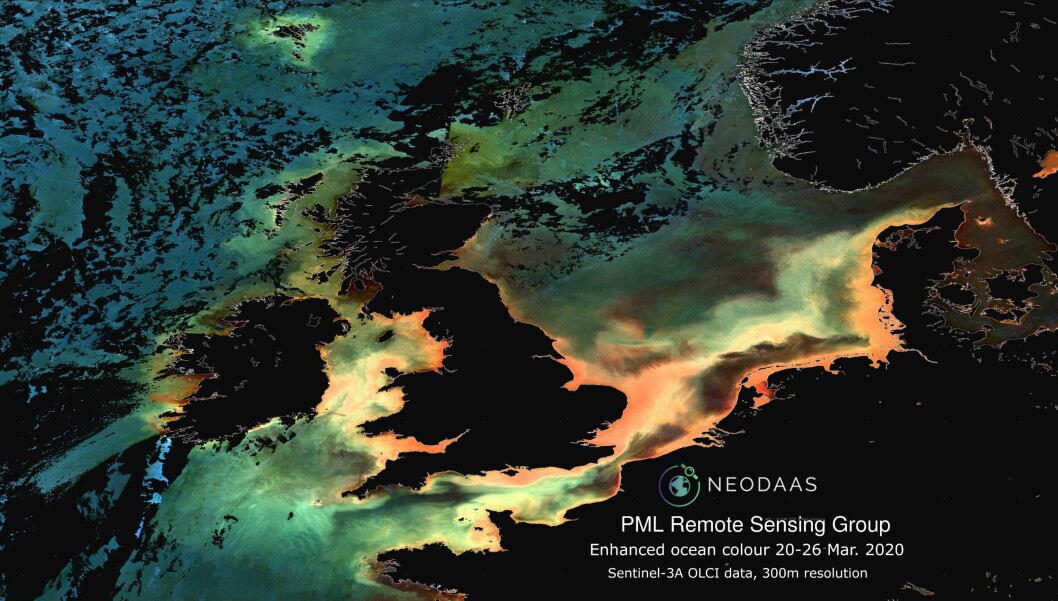 One of the satellite images which Dr Peter Miller believes are now showing clearer detail than normal. Image: NEODAAS. One of the satellite images which Dr Peter Miller believes are now showing clearer detail than normal. Image: NEODAAS.