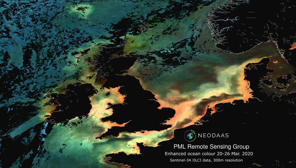 One of the satellite images which Dr Peter Miller believes are now showing clearer detail than normal. Image: NEODAAS.