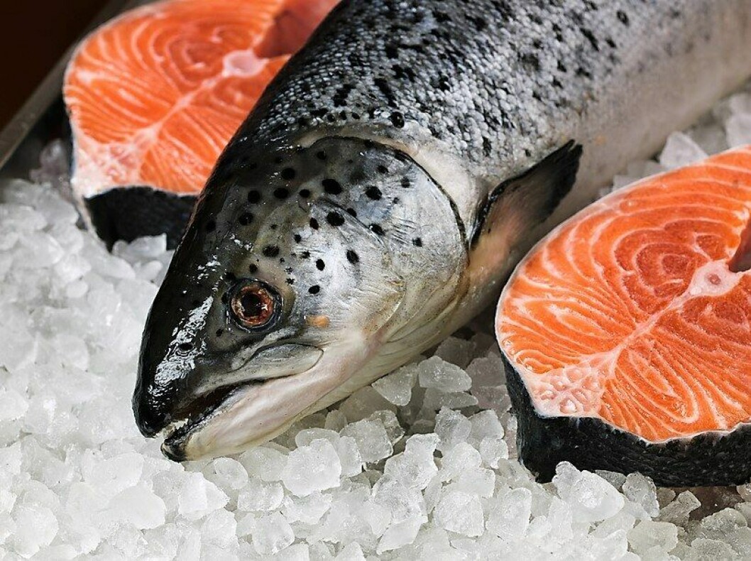 Salmon exports hit a record high last year and helped Scotland's food and drink exports do the same.