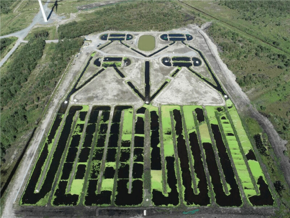 The site, which covers more than five hectares, has four fish ponds and a larger area for growing duckweed and algae. Click on image to enlarge. Photo: BIM.