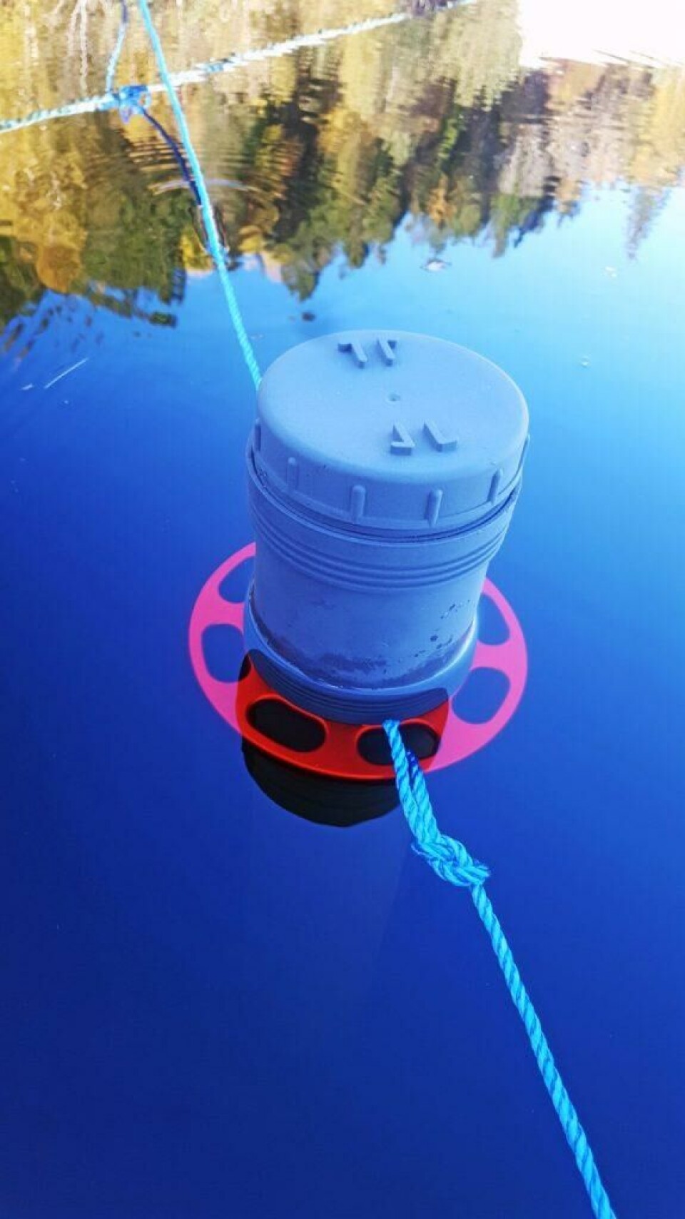 The system gathers data collected from a network of wireless buoys. Image: Rantex Marine.