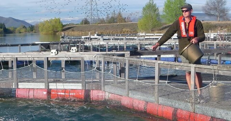 Ridley Corporation will produce 50,000 tonnes a year at its Tasmanian feed plant. Photo: Ridley