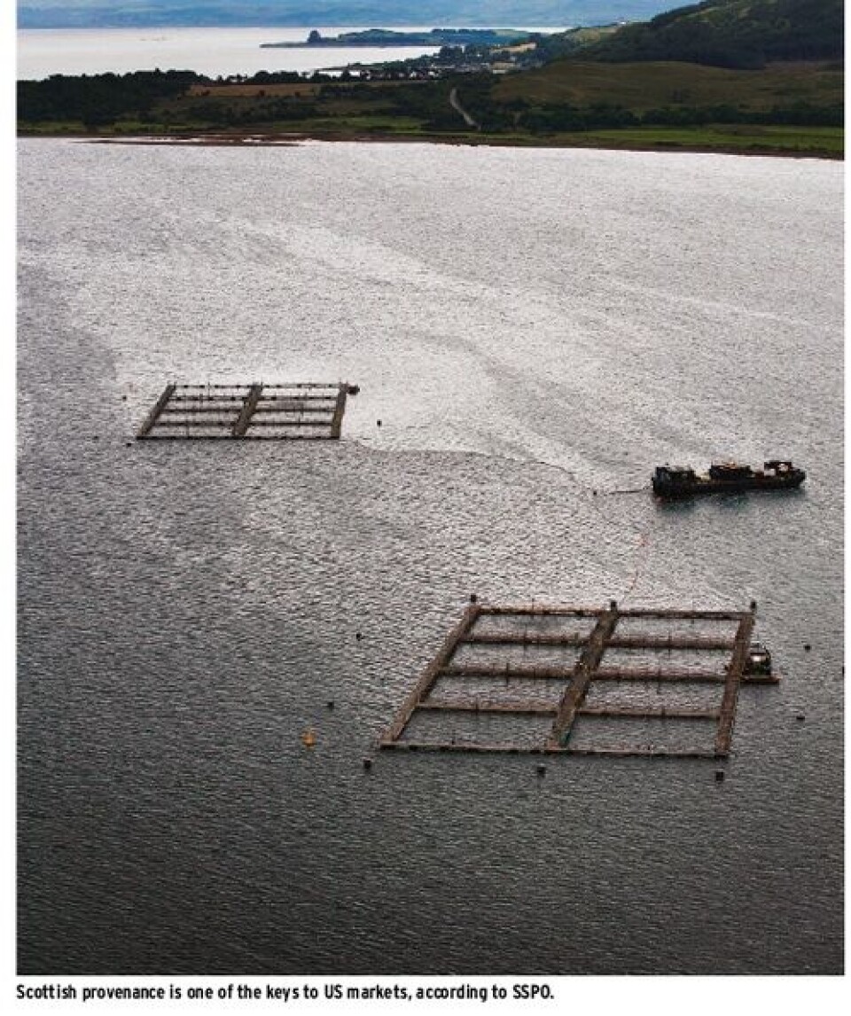 Salmon playing a driving role in Scottish exports
