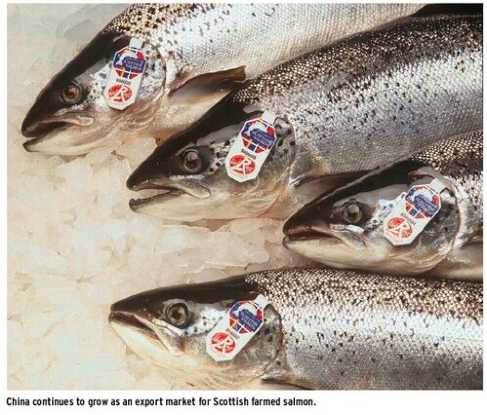 Salmon playing a driving role in Scottish exports
