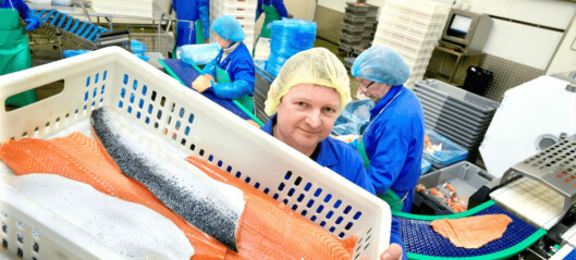 Salmon Scotland expands into supply chain