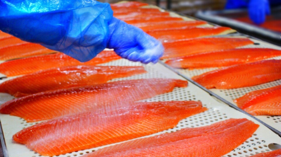 Salmon being prepared for smoking. Although conditions in UK processing facilities are regulated, processing elsewhere can sometimes be a high-risk activity for labour abuses and poor working conditions, syas the ASC.