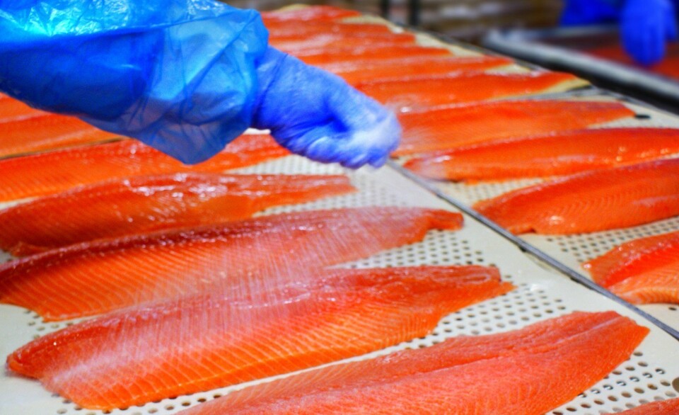 Mowi harvested 475,000 gwt of salmon last year and made operational EBIT of €1.028bn.