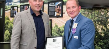 Wyre proves its mettle in M&S awards