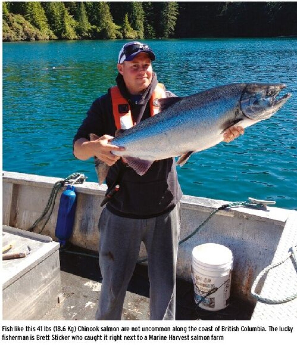 Salmon Scientists will gather in Canada this Summer