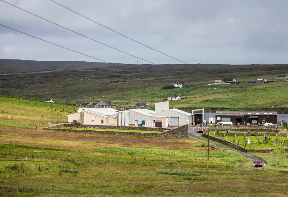 The new facility is on the site of a former crab processing plant. Image by Cooke Aquaculture Scotland.