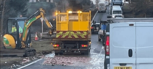 Salmon spill slows traffic in Moray