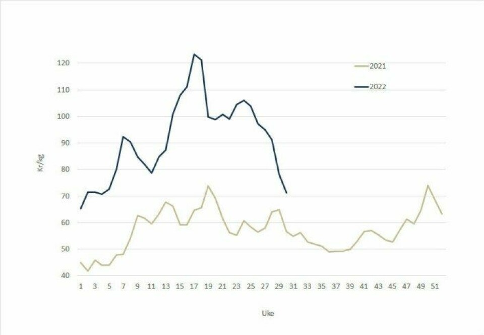 The spot price of salmon in 2021 (grey), versus 2022 (blue). Data source: Akvafakta.