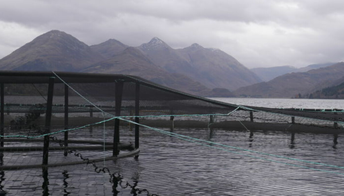 Monity Fish SEPA seeks new way to monitor fish farm impacts in sensitive areas