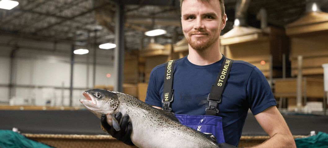 Salmon squeeze costs AquaBounty $1.5m