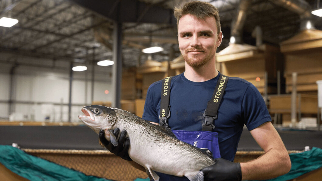 A member of staff with a salmon at AquaBounty's RAS facility in Indiana. Photo: AquaBounty. A member of staff with a salmon at AquaBounty's RAS facility in Indiana. Photo: AquaBounty.