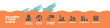 Threats to wild salmon in the state of Washington. Click om image to enlarge. Graphic: State of Salmon report. Threats to wild salmon in the state of Washington. Click om image to enlarge. Graphic: State of Salmon report.