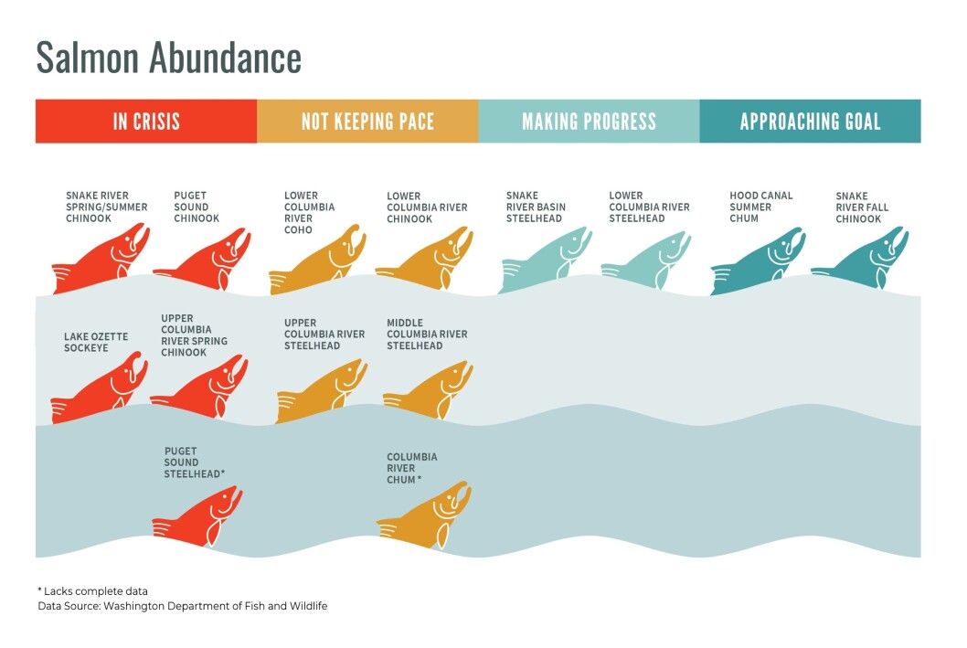 Some salmon populations in Washington remain critically endangered for a variety of reasons. graphic: State of Salmon report. Some salmon populations in Washington remain critically endangered for a variety of reasons. graphic: State of Salmon report.