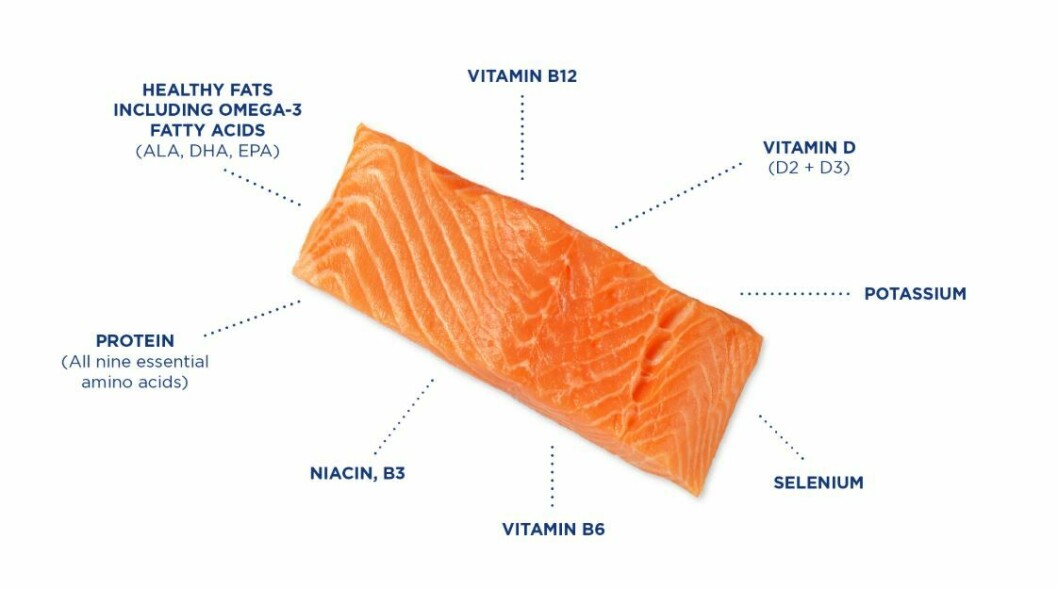 The GSI report includes this illustration and tables about the health benefits and nutritional profile of salmon.