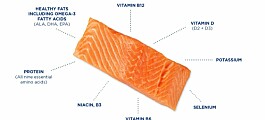 Salmon sustainability is an open book for GSI
