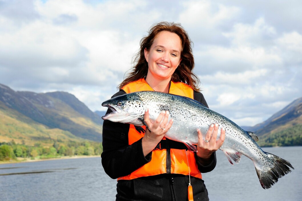 Scottish salmon has helped UK food and drink exports rise by more than 8 per cent in the first half of this year. Photo: SSPO