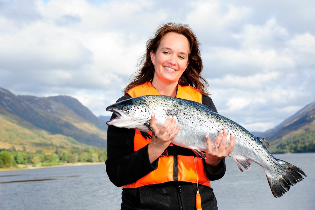Scottish salmon has helped UK food and drink exports rise by more than 8 per cent in the first half of this year. Photo: SSPO Scottish salmon has helped UK food and drink exports rise by more than 8 per cent in the first half of this year. Photo: SSPO