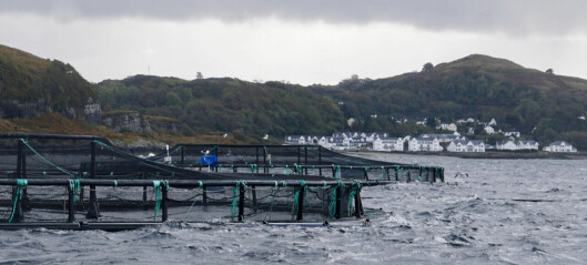 Planners give salmon farmer green light for expansion