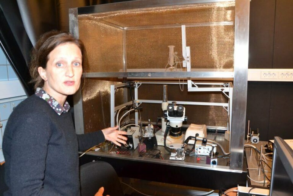 Caroline Durif, a researcher at IMR, explains how the trap was designed to attract and catch lice. The initial design failed despite promising results. Image: Magnus Petersen.