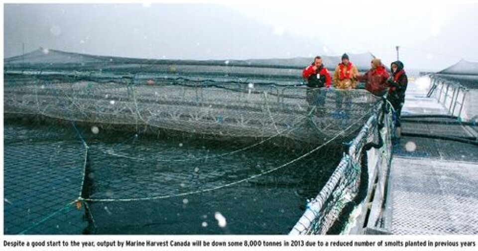 Political Excitement and Profitability return for Salmon Farmers in British Columbia